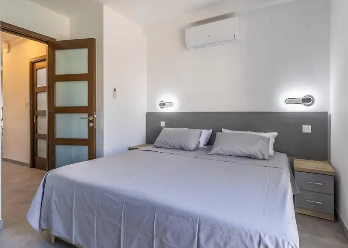 Nocturnal Elegance By Solea 슬리에마